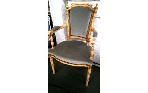 CHAISE BRANCHE STYLE LOUIS XVI BLEUE VELOURS