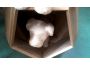 Troc - Image Produit