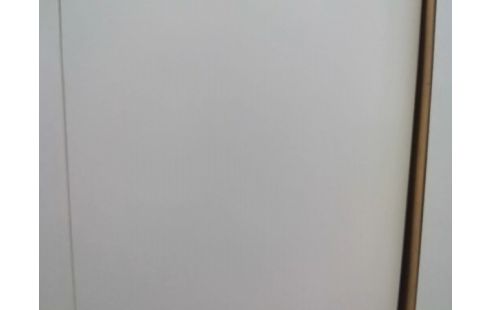ARMOIRE 1P AVEC ETAGERES