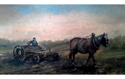 SCHILDERIJ PAARD MET