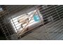 Troc - Image Produit