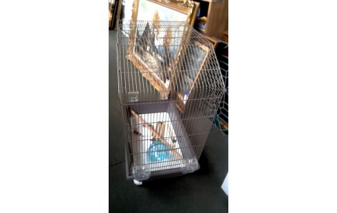 VOGELKOOI GRIJS PVC + ACCESSOIRES SAVIC