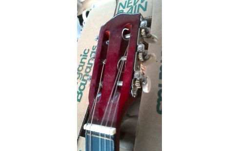 GUITARE BONTEMPI