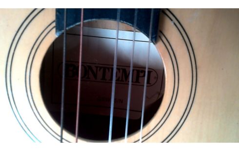 GUITARE BONTEMPI