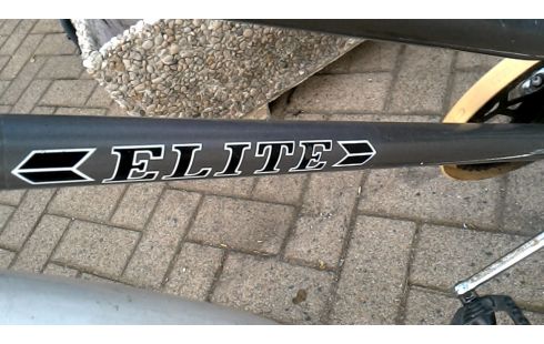 DAMESFIETS ELITE GRIJS