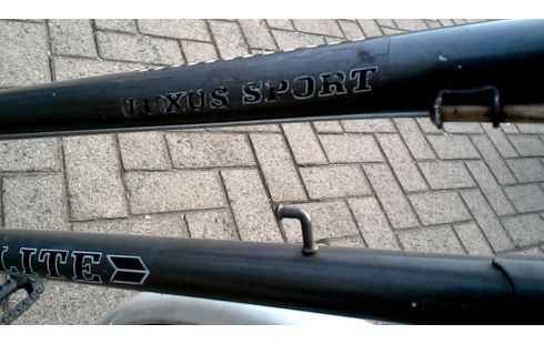 DAMESFIETS ELITE GRIJS