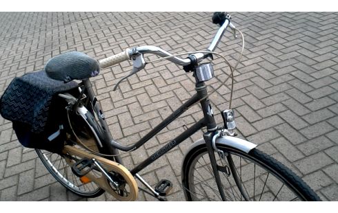 DAMESFIETS ELITE GRIJS