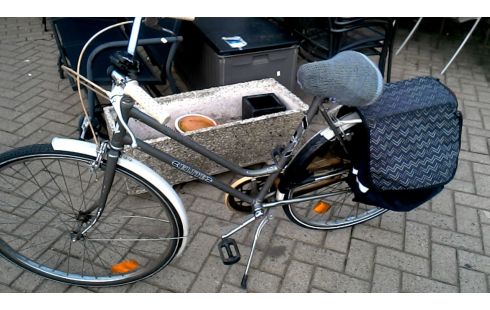 DAMESFIETS ELITE GRIJS