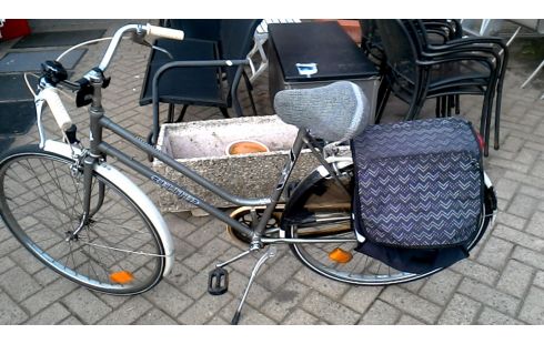 DAMESFIETS ELITE GRIJS