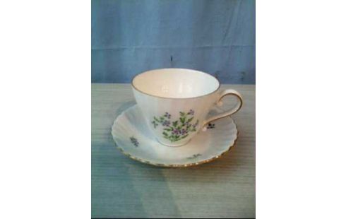 lt;KAISER TAZA, , ACEITERO
