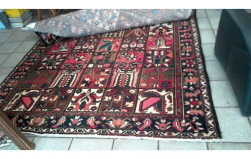 TAPIS  D' ORIENT BAKHTIAR  312-212 CM