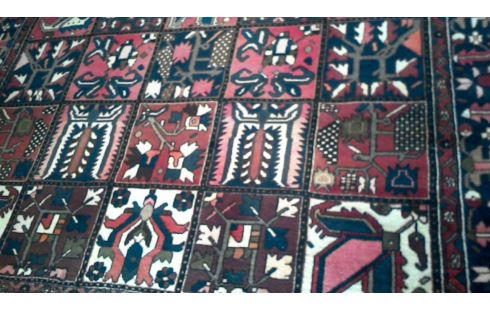 TAPIS  D' ORIENT BAKHTIAR  312-212 CM