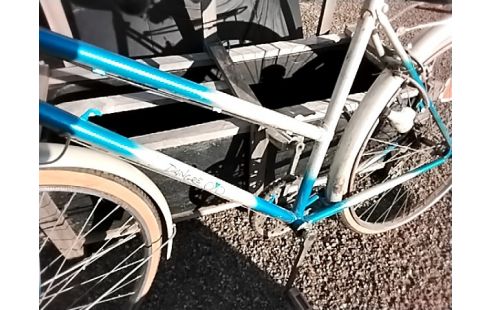 VELO DAME DANGRE