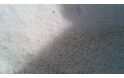 TAPIS BLANCHE