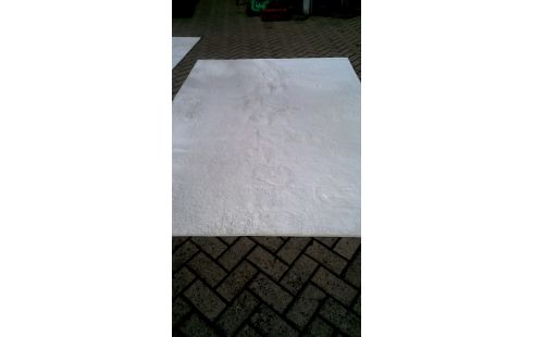 TAPIS BLANCHE