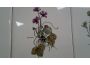 Troc - Image Produit