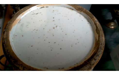 VAAS CHINEES CELADON ANTIEK