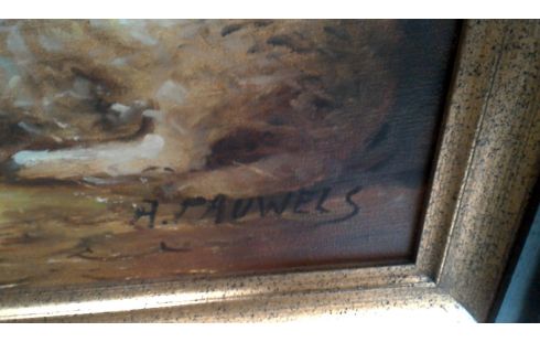 SCHILDERIJ SCHAPENSTAL GESIGNEERD PAUWELS
